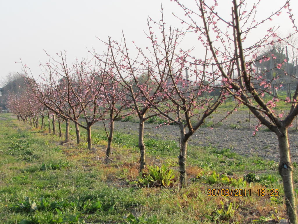 Agriturismo Ca' Baccan Cavallino-Treporti Luaran gambar